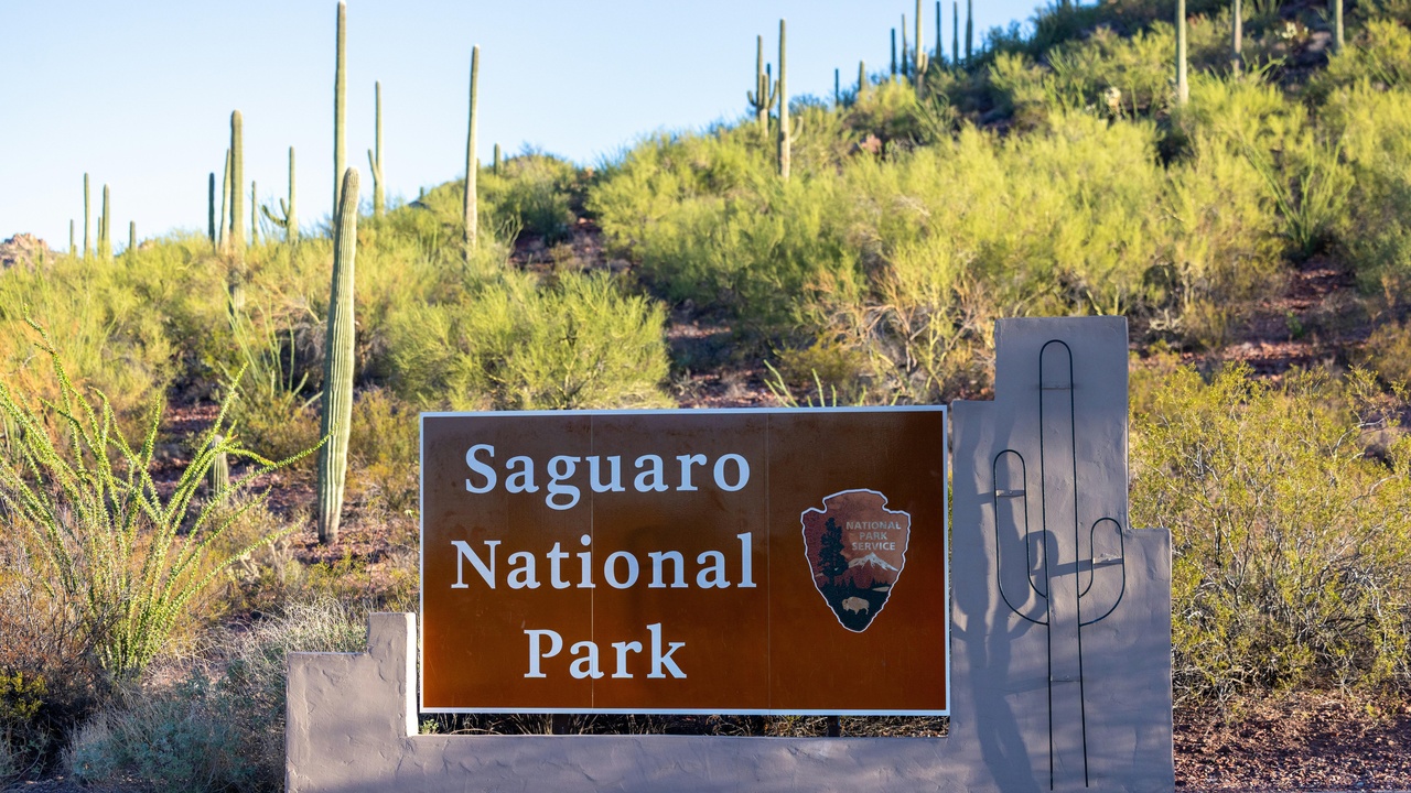 Infographic showing provisioning, regulating, supporting and cultural ecosystem services: water, air, food, climate regulation and recreation.