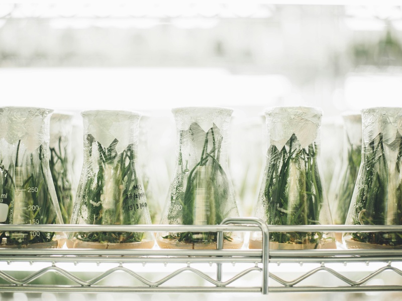 Types Of Science: The Complete List - 33Science