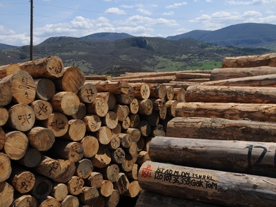 Forest area (timber,biodiversity)