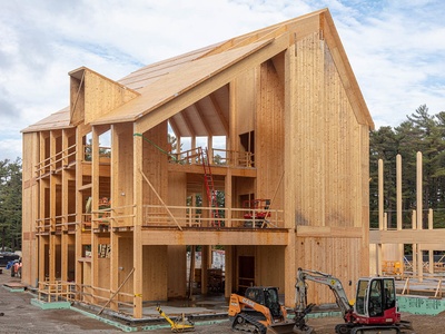 Forest timber (mixed)