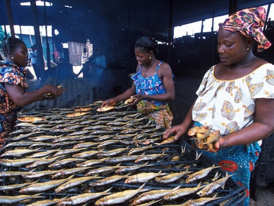 Freshwater fish & aquaculture