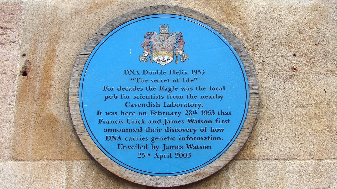 Illustration of the DNA double helix and historical images of Watson, Crick, and Rosalind Franklin