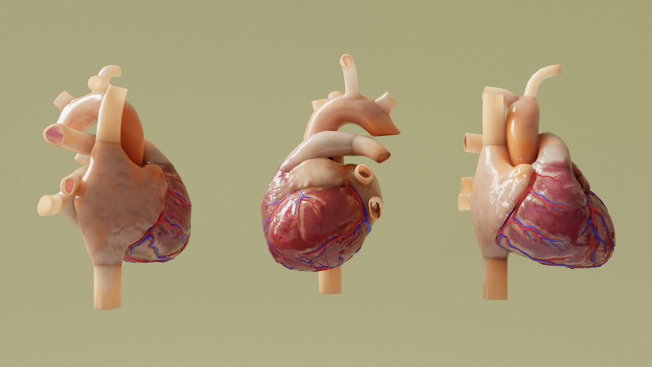 Infographic comparing healthy heart and diseased heart with statistics