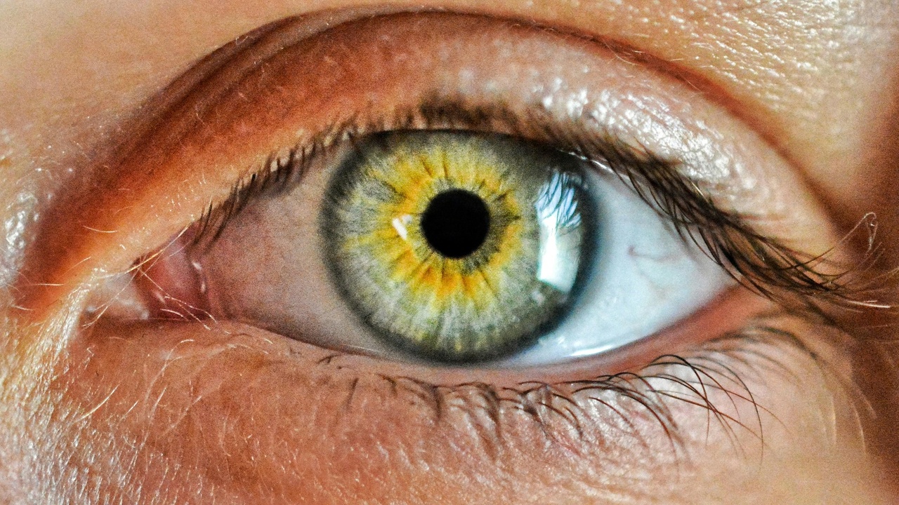 Medical illustration showing common eye diseases such as cataract and macular degeneration.