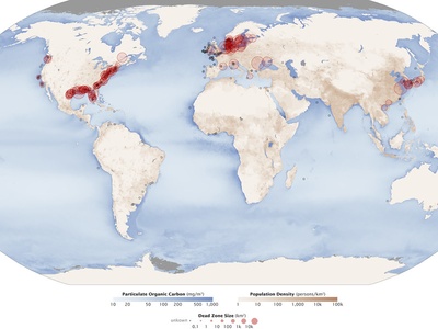 Hypoxic zones / Dead zones