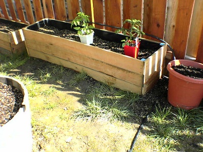 Irrigated agricultural soils