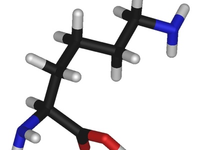 Lysine