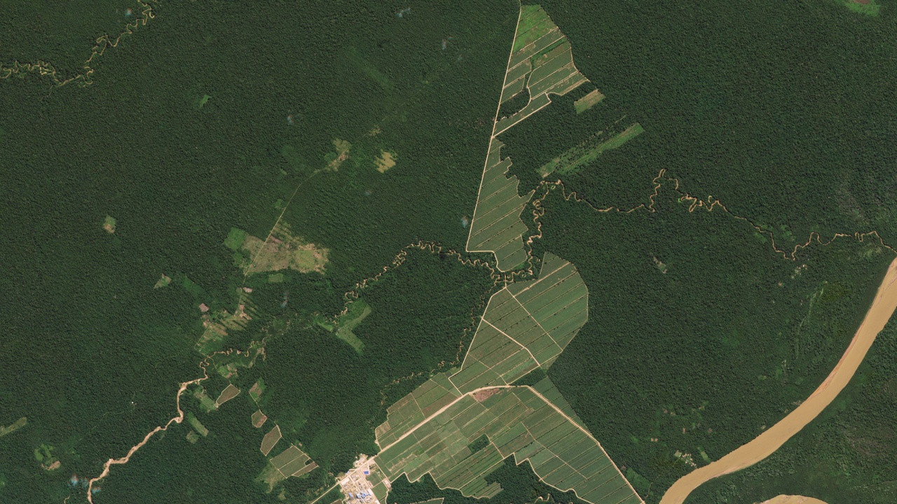 Deforestation and human impacts on ecosystems with overlapping maps