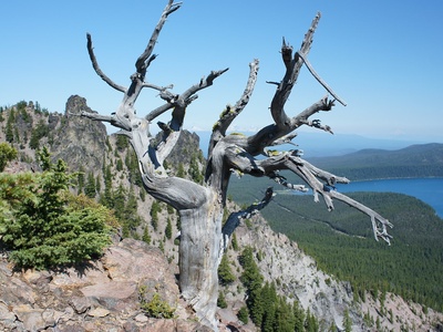 Paulina Peak