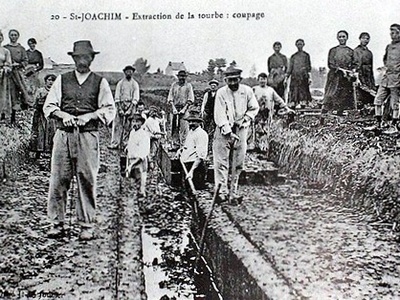 Peat (restricted extraction)