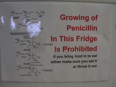 Penicillin