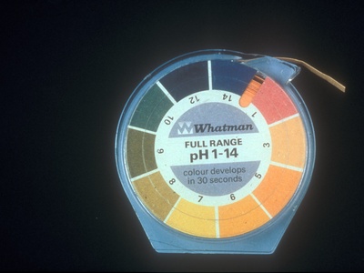 pH Indicator Strips