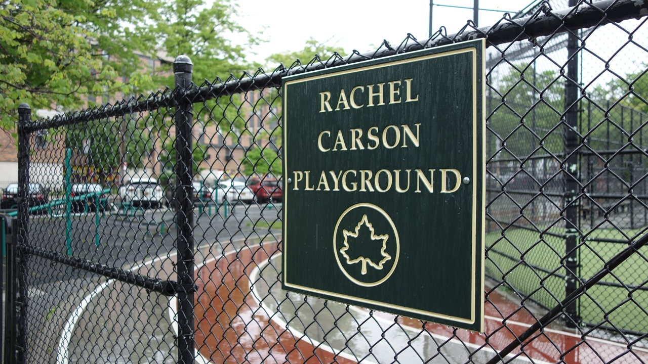 Historic conservation leaders and early environmental movement imagery