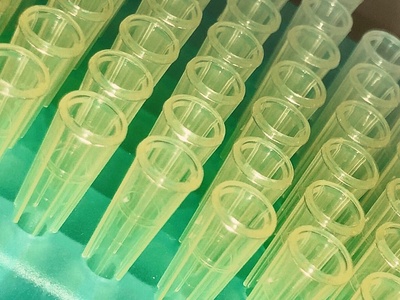 Pipette Tips