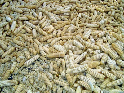 Poultry manure pellets