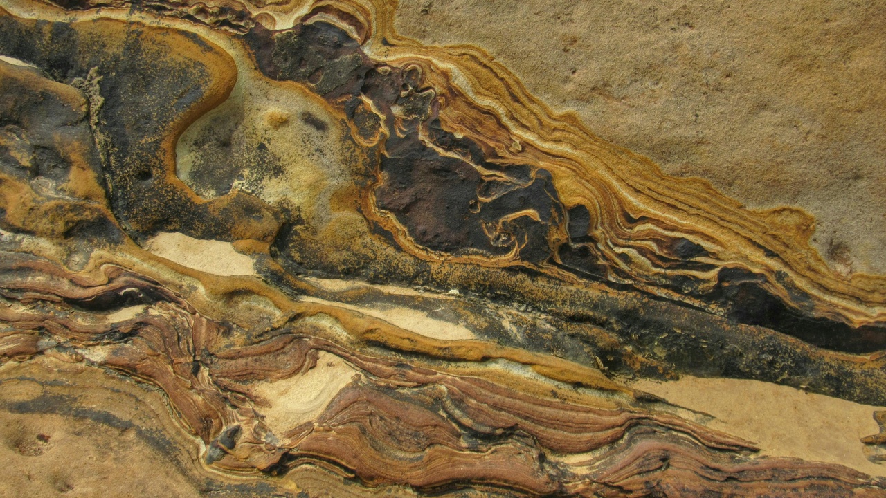 Stratigraphic layers and Burgess Shale fossils illustrating fossilization processes
