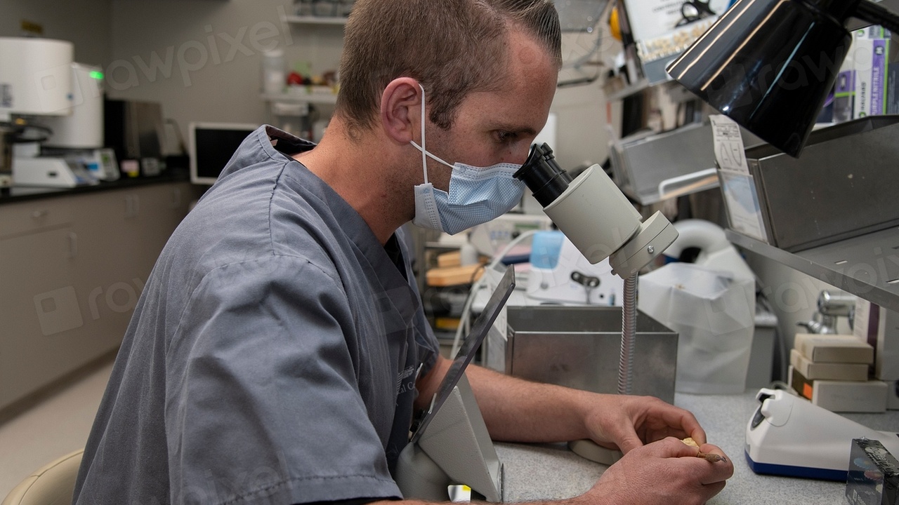 Medical laboratory scientist working with a microscope in a hospital lab