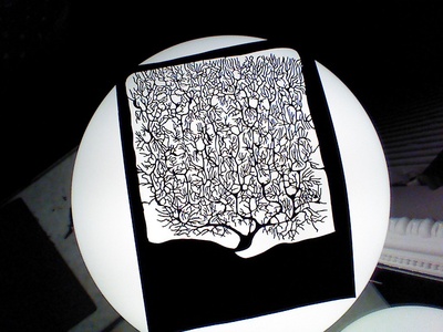 Santiago Ramón y Cajal