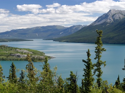 Tagish Lake