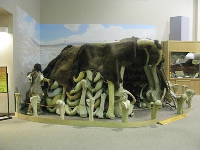 The Mammoth Site