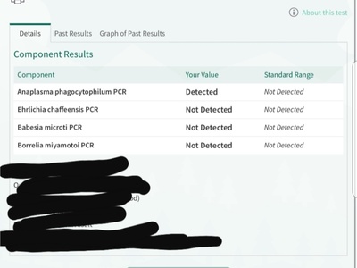 Anaplasma phagocytophilum