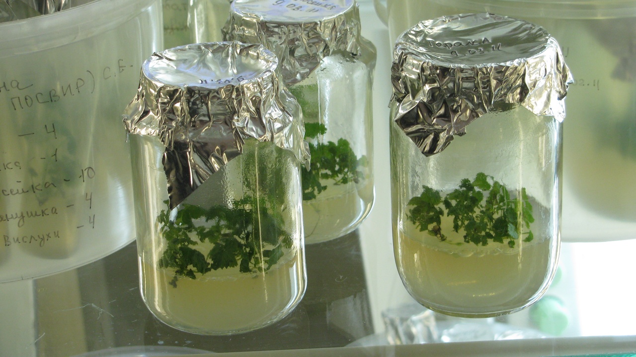 Industrial fermenter and bioplastic pellets representing applications of biochemistry in industry