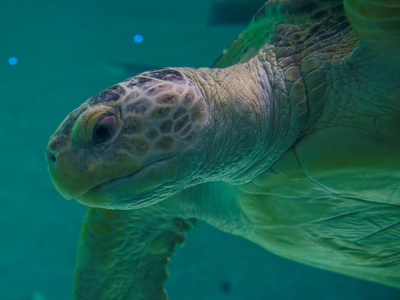 Audubon Nature Center & Aquarium