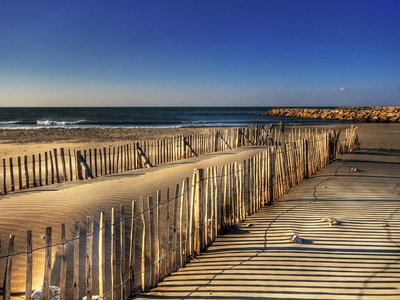 Beach sand and coastal sediments