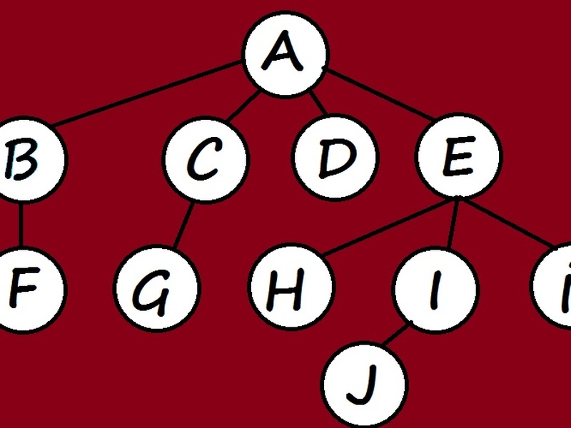Bfs Layout Graph Algorithms: The Complete List - 33Science