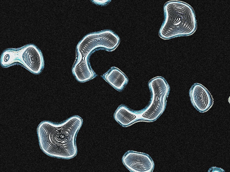 List of Protists - 33Science