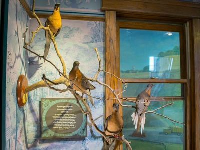 Cleveland Museum of Natural History