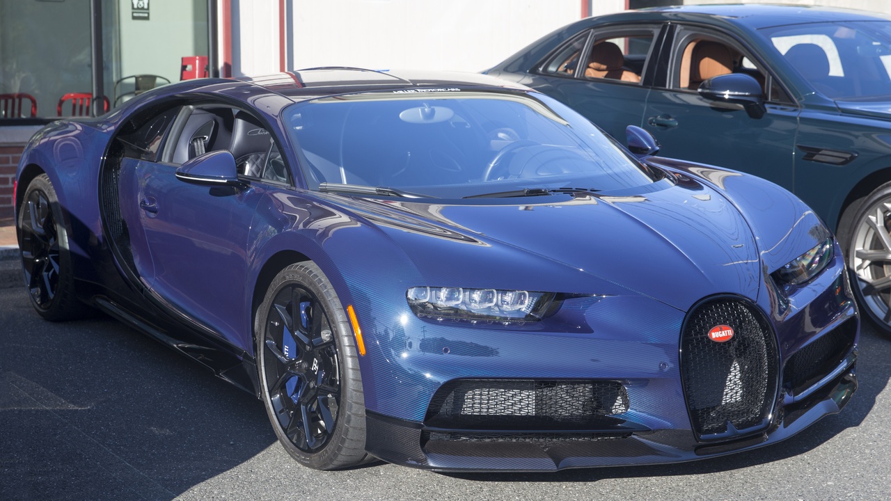 Mangrove forest illustrating coastal blue carbon and coastal protection