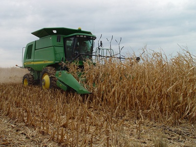 Crop residues & agricultural biomass