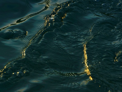 Deepwater Horizon oil spill