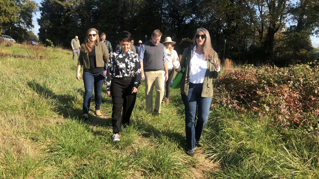 Farmland showing biodiversity and soil conservation practices