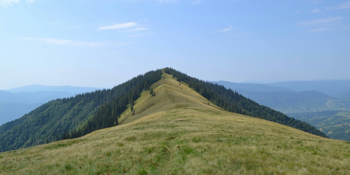 featured_image