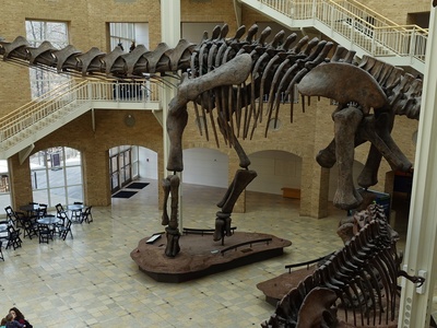 Fernbank Museum of Natural History