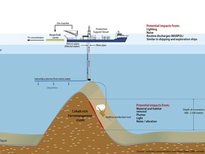 Ferromanganese crusts