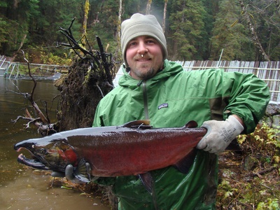 Fisheries (sustainably managed)