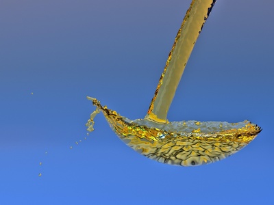 Foraminiferal plankton