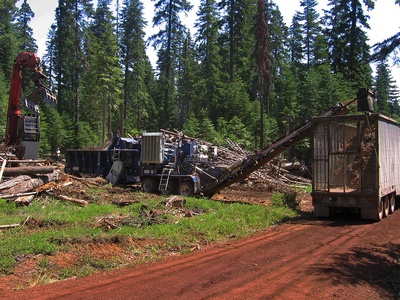 Forest biomass (renewable wood supply)