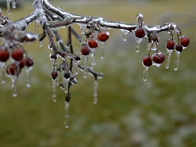 Freezing rain