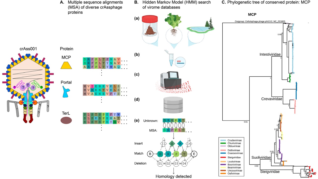 Diagram of major biomolecules and laboratory glassware representing fundamentals of biochemistry