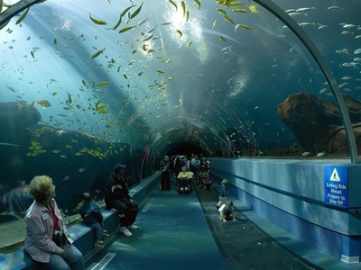 Georgia Aquarium