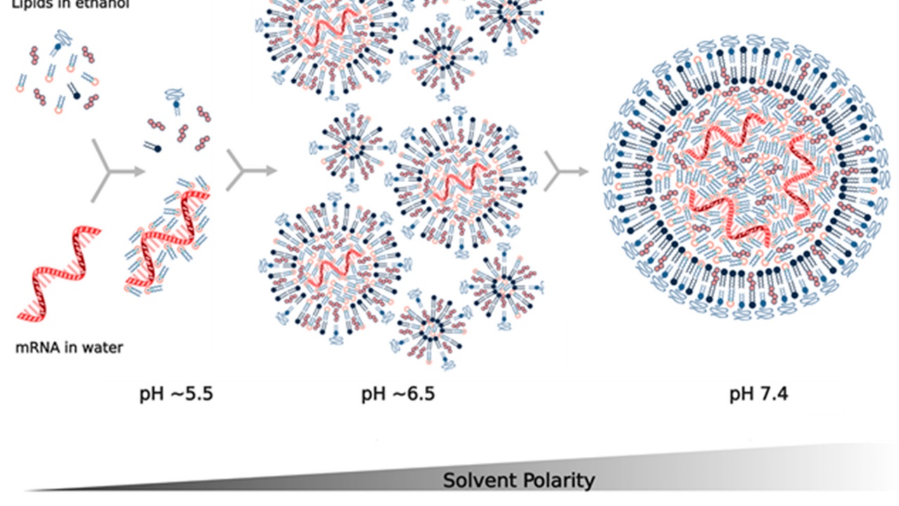 Biomedical materials for implants, drug delivery, and wearable monitoring