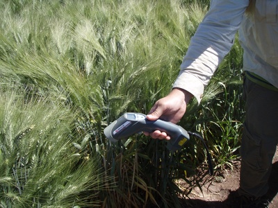 Infrared thermometer