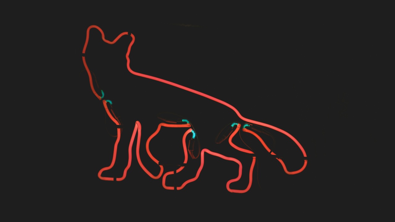 Schrödinger's cat illustration and many-worlds depiction