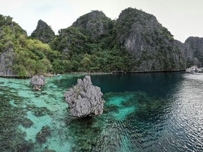 Limestone (reef/coral)