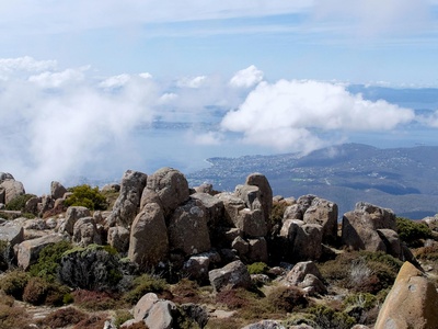 Maungarei (Mount Wellington)
