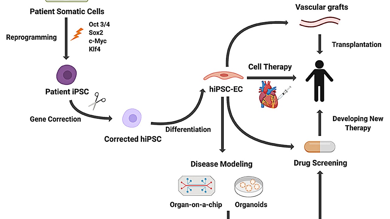 Laboratory scientist pipetting DNA samples for gene therapy development